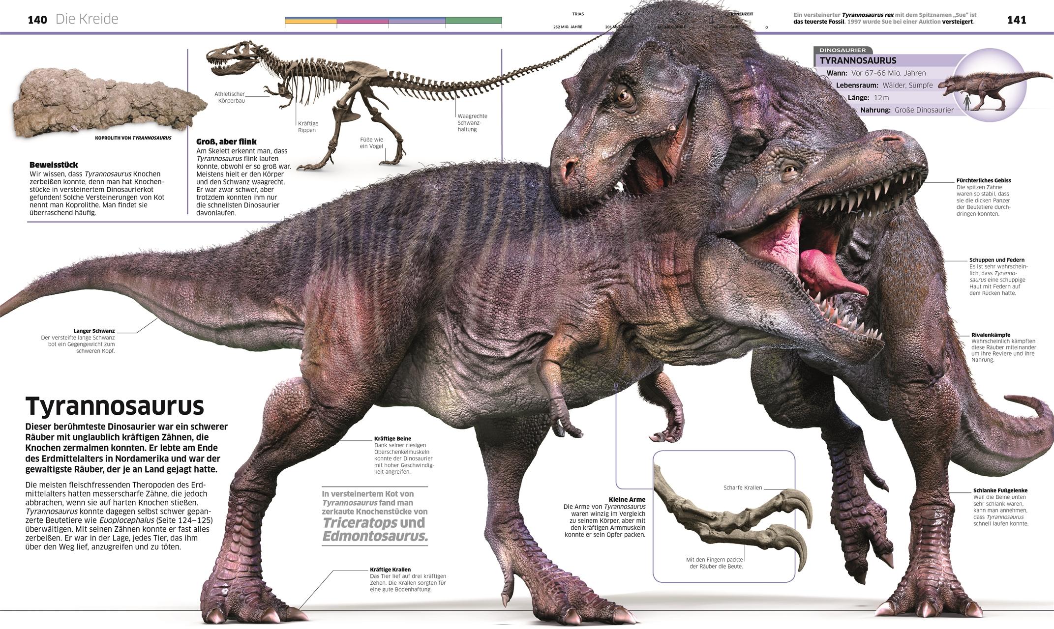 Beispielinhalt (Bild) DK Wissen. Dinosaurier
