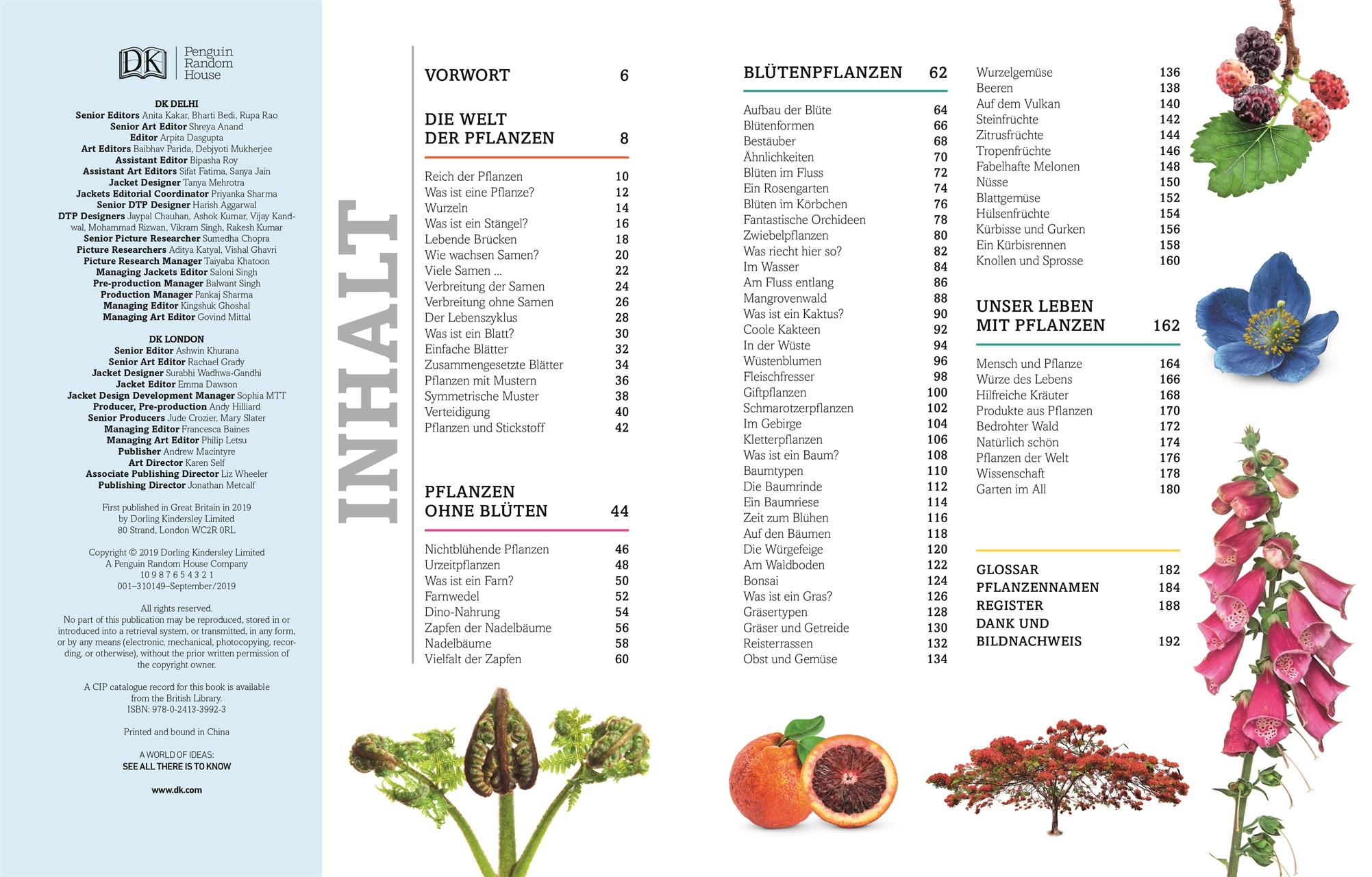 Beispielinhalt (Bild) Pflanzen