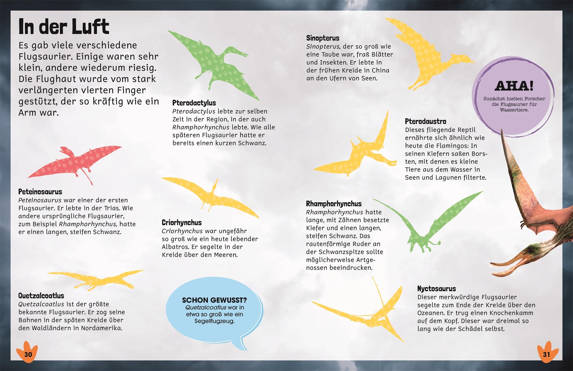 Beispielinhalt (Bild) Sticker-Lexikon. Dinosaurier