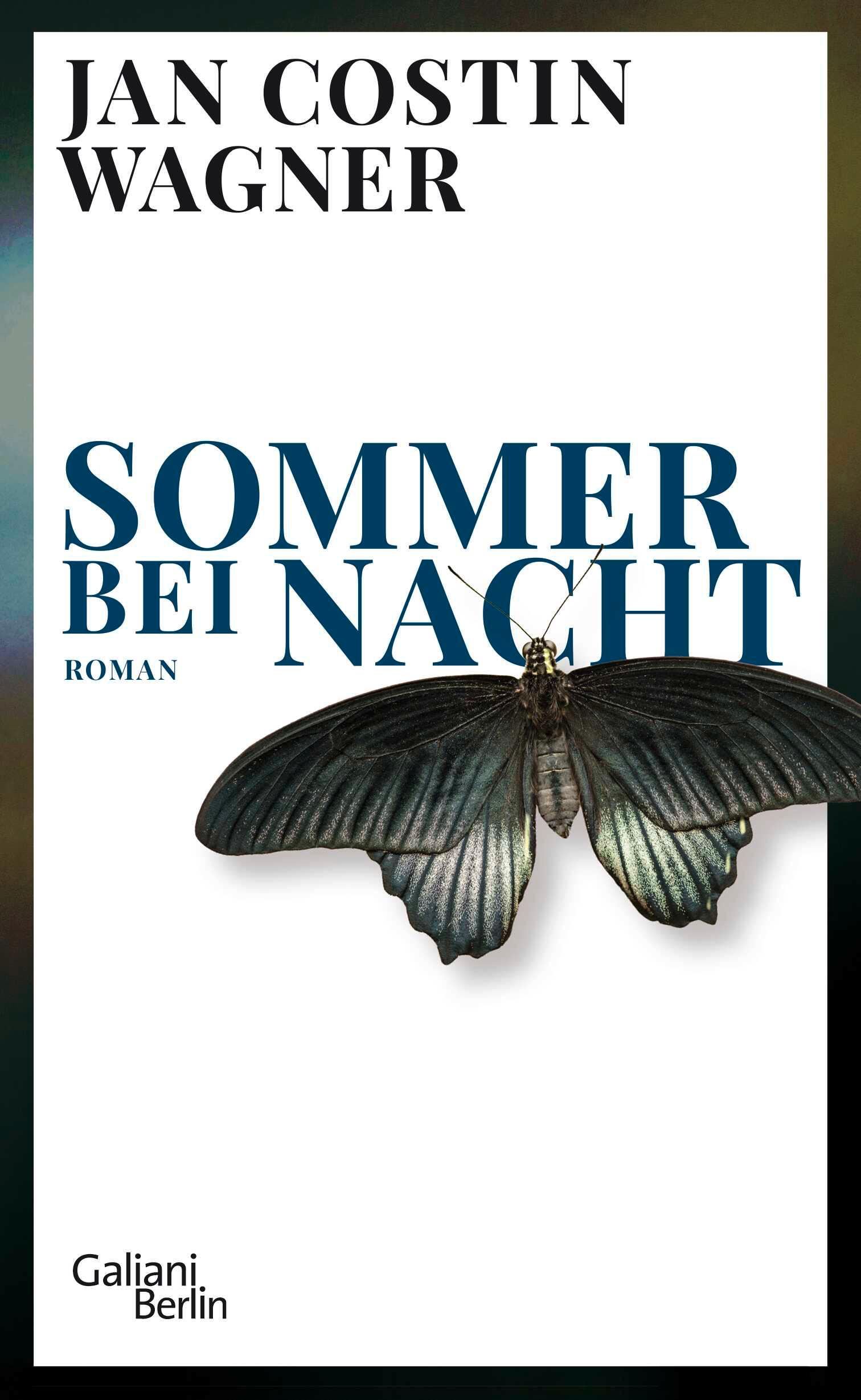 Vorderes Coverbild Sommer bei Nacht