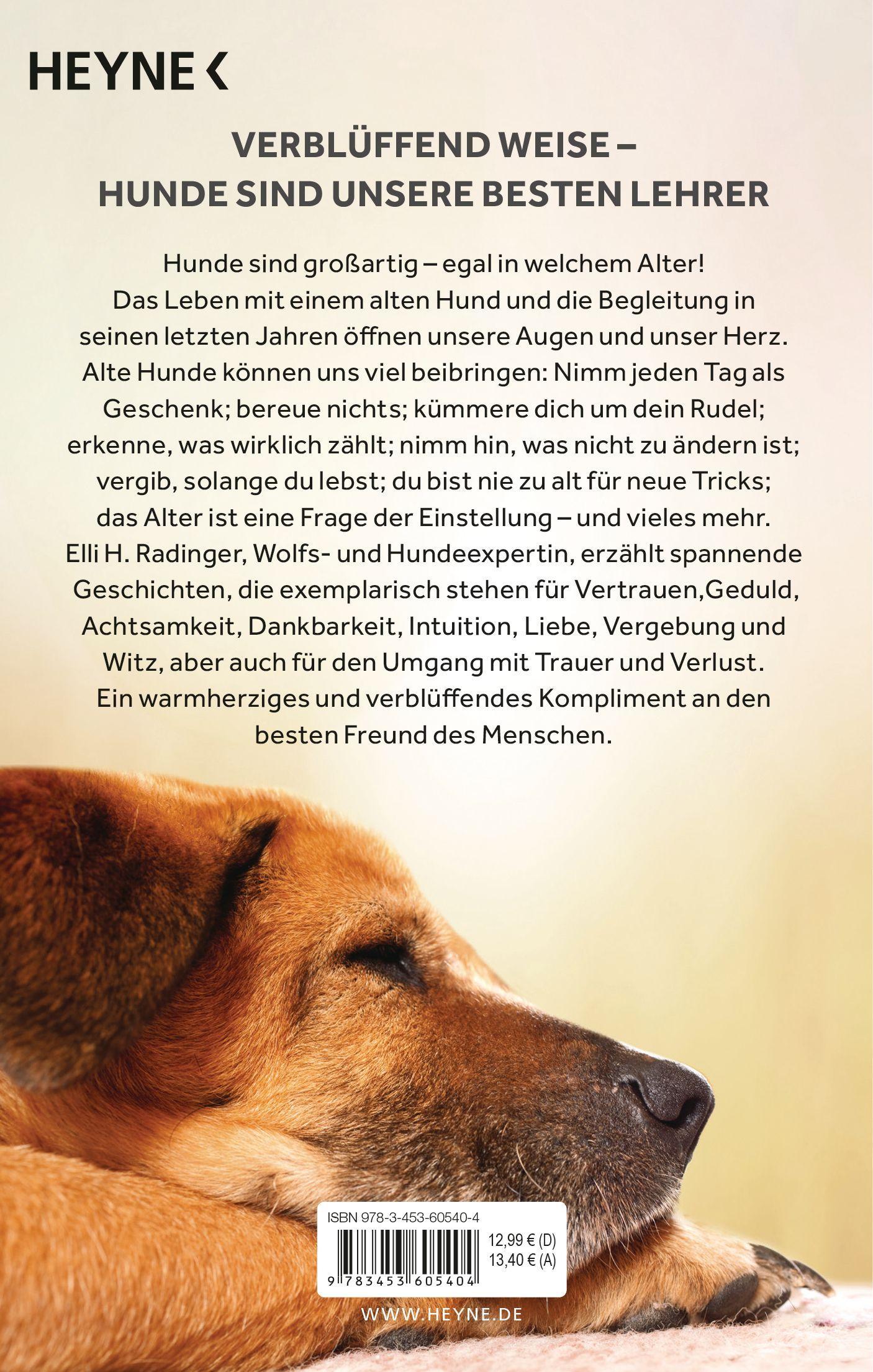 Beispielinhalt (Bild) Die Weisheit alter Hunde