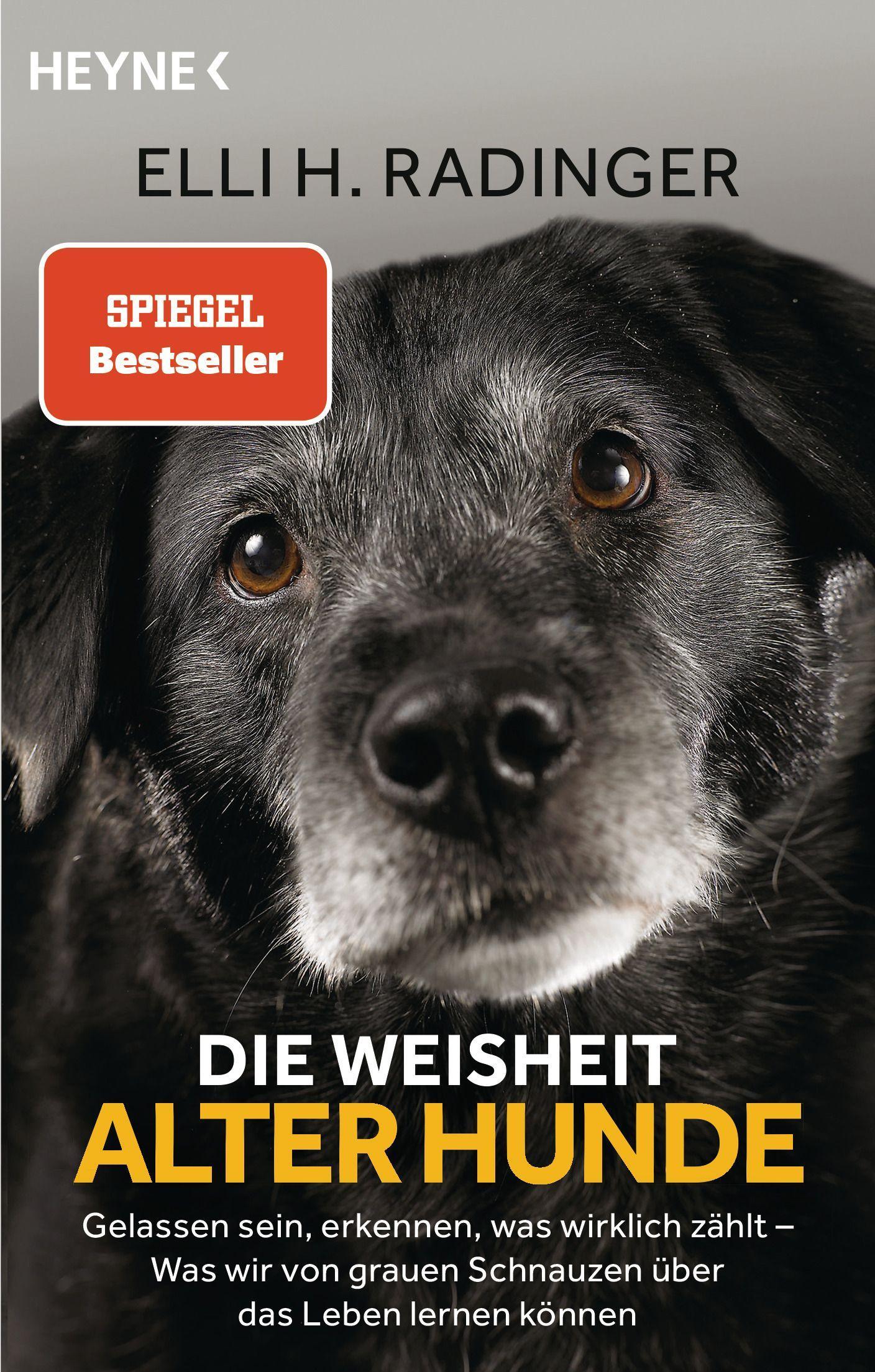 Vorderes Coverbild Die Weisheit alter Hunde