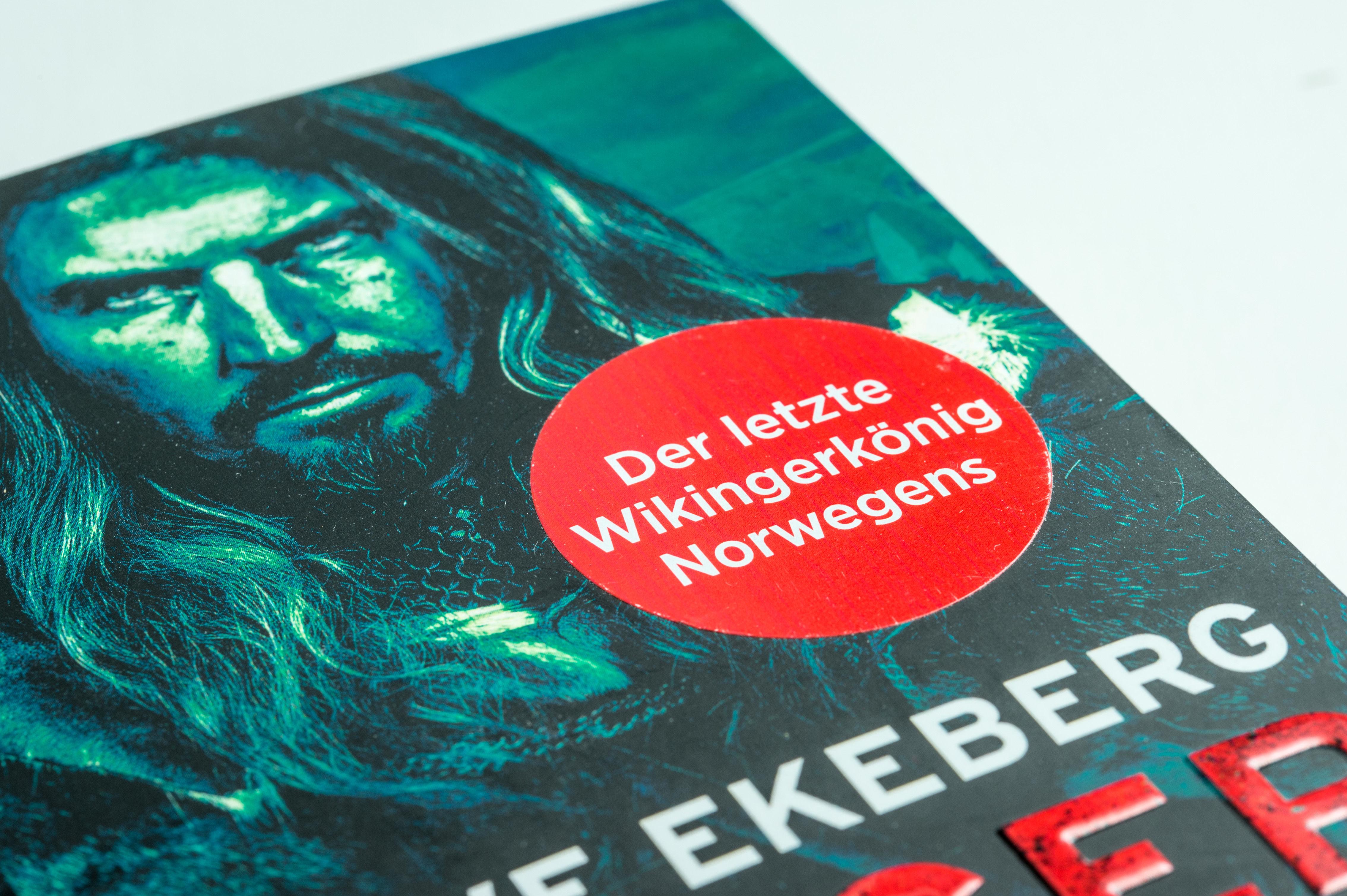 Beispielinhalt (Bild) Kriegerblut - König der Wikinger