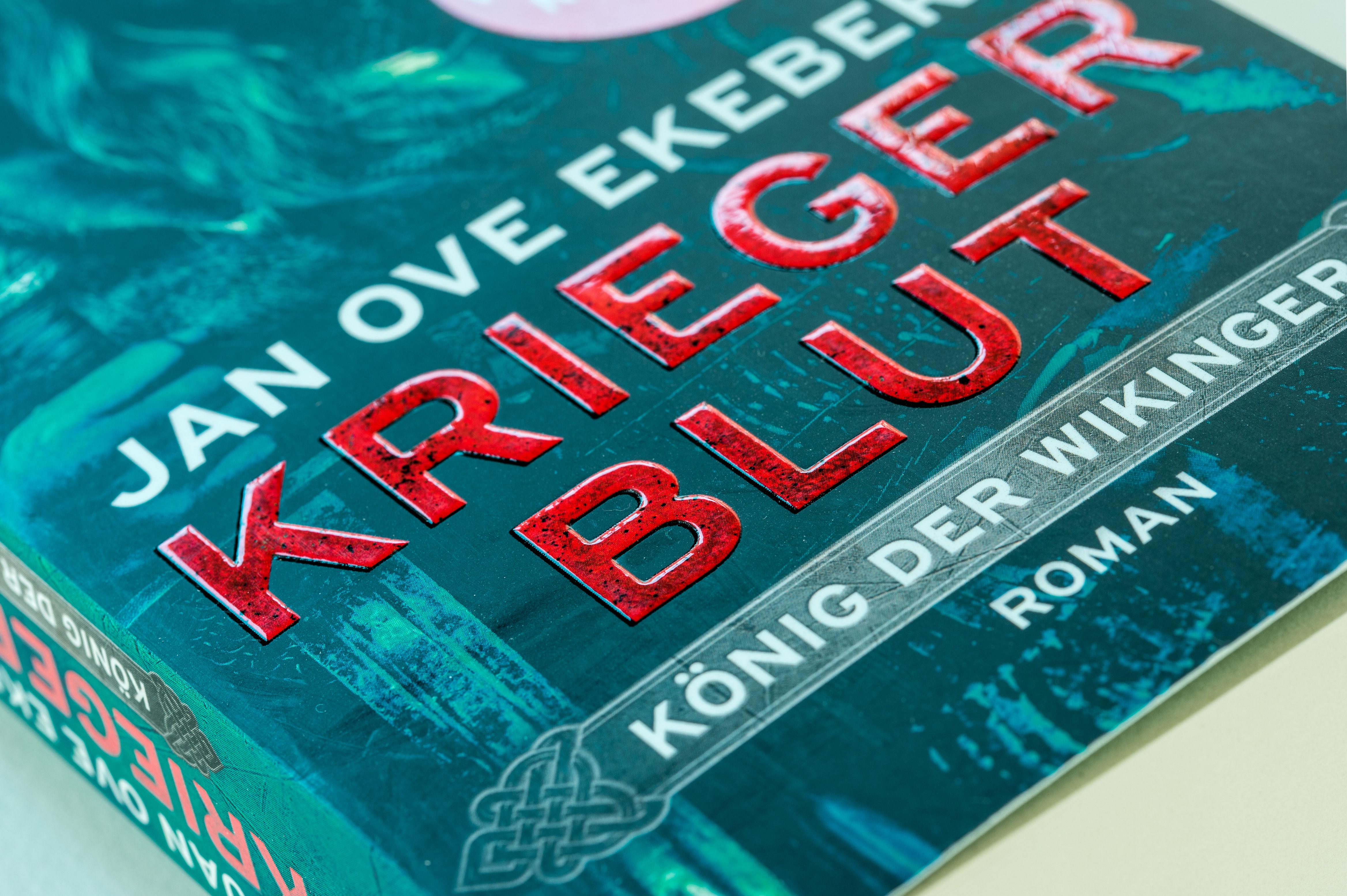 Beispielinhalt (Bild) Kriegerblut - König der Wikinger