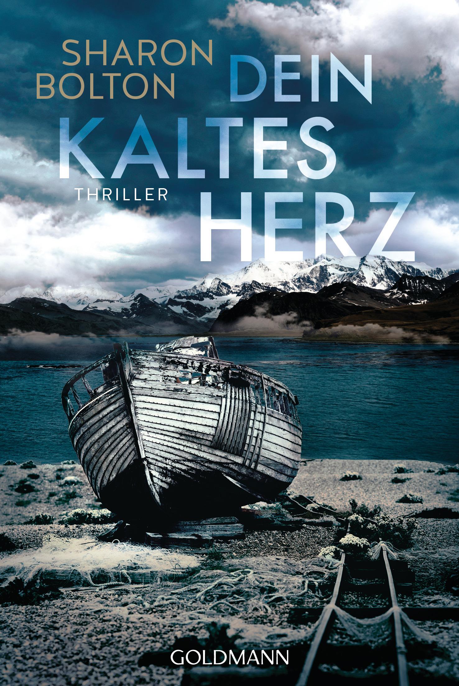 Vorderes Coverbild Dein kaltes Herz