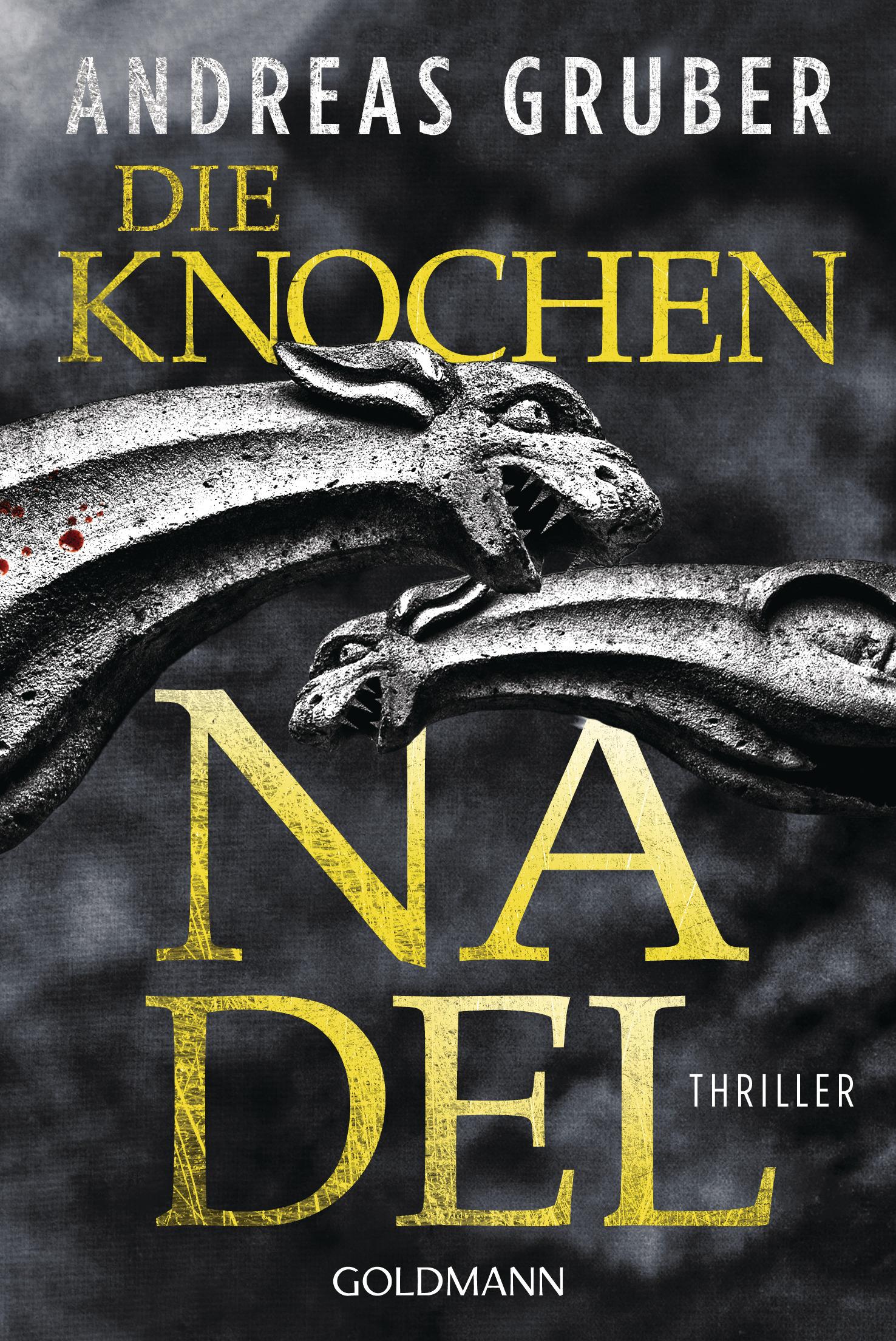 Vorderes Coverbild Die Knochennadel