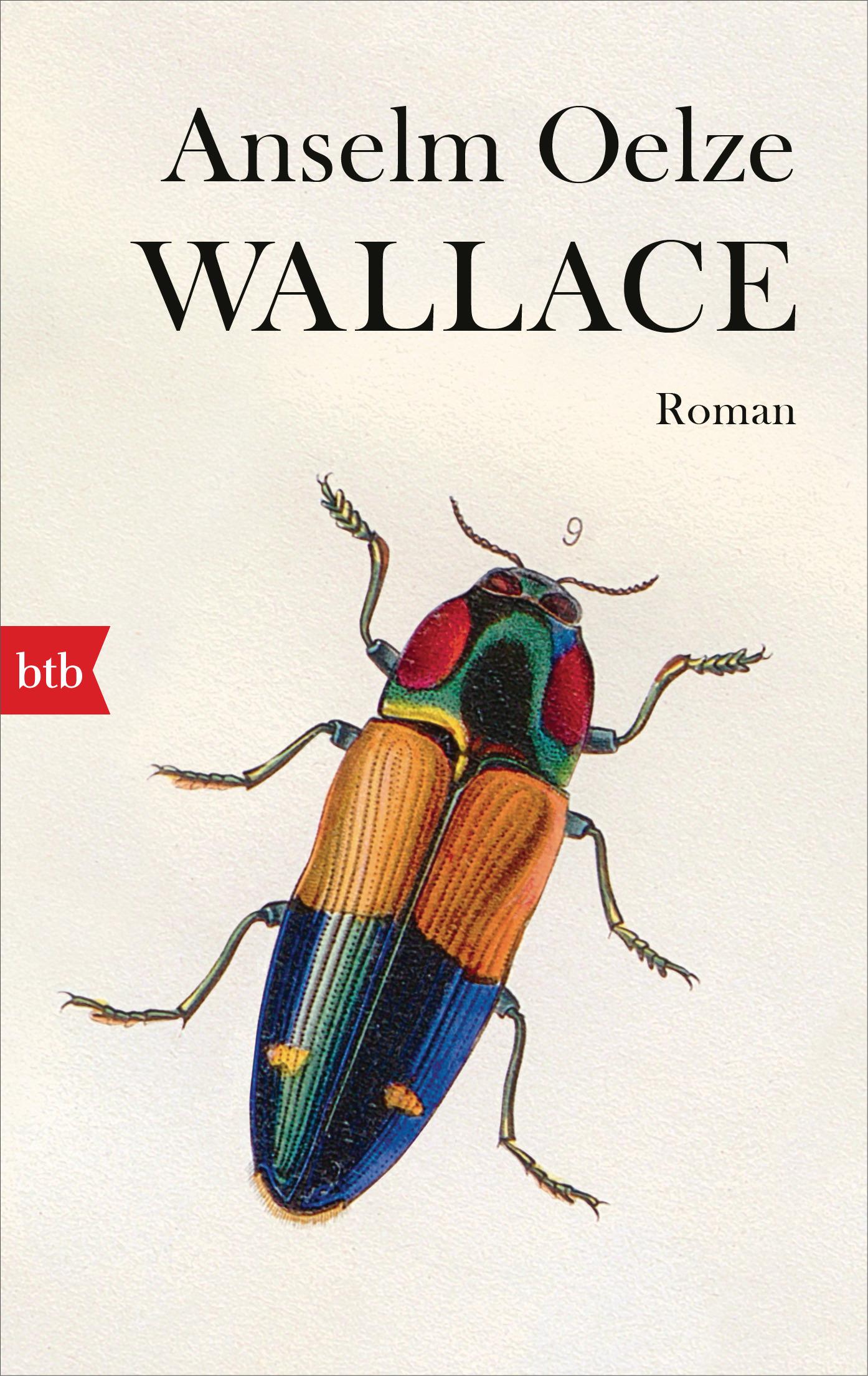 Vorderes Coverbild Wallace