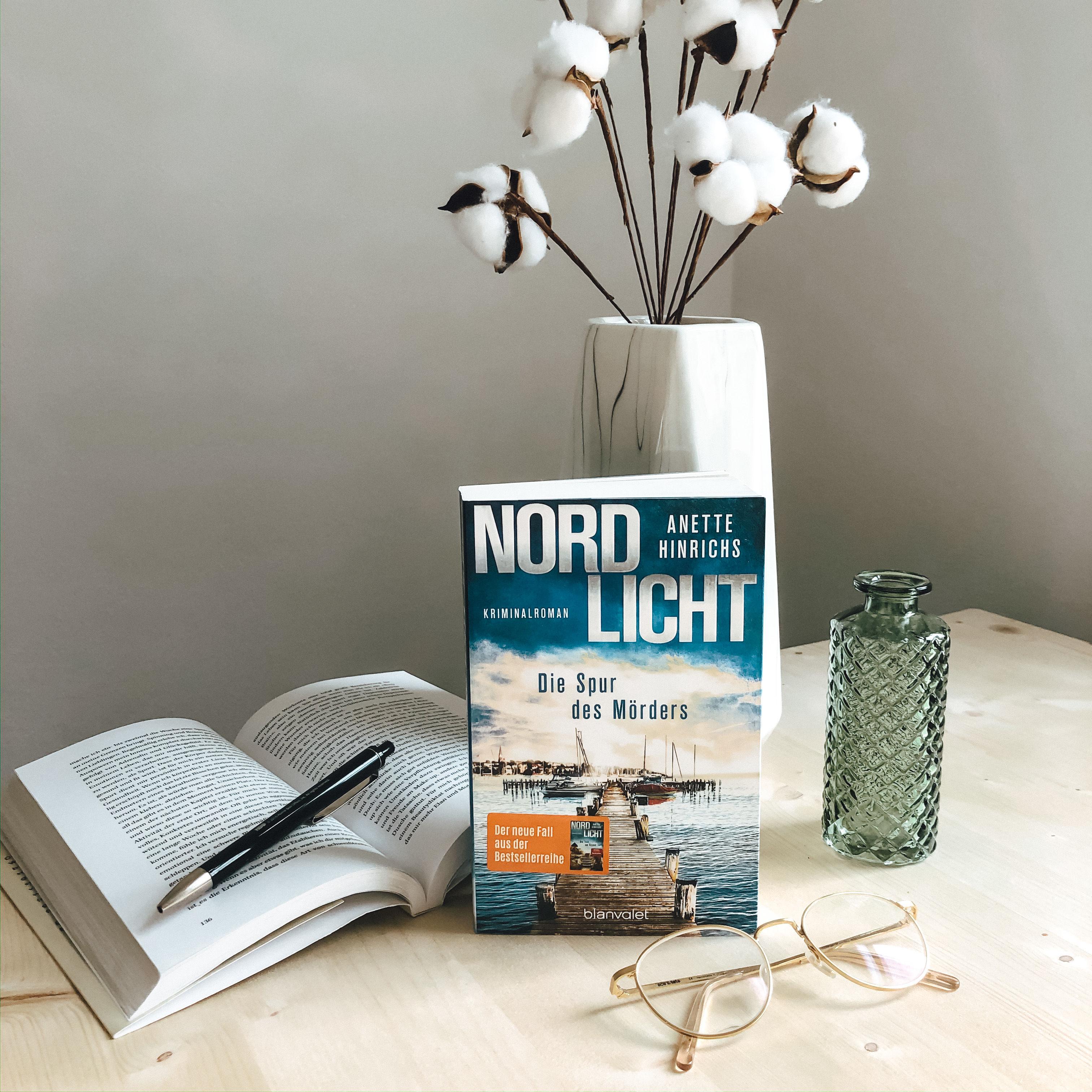 Beispielinhalt (Bild) Nordlicht - Die Spur des Mörders