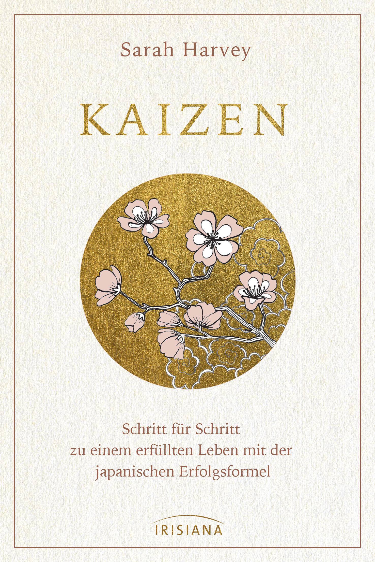 Vorderes Coverbild Kaizen