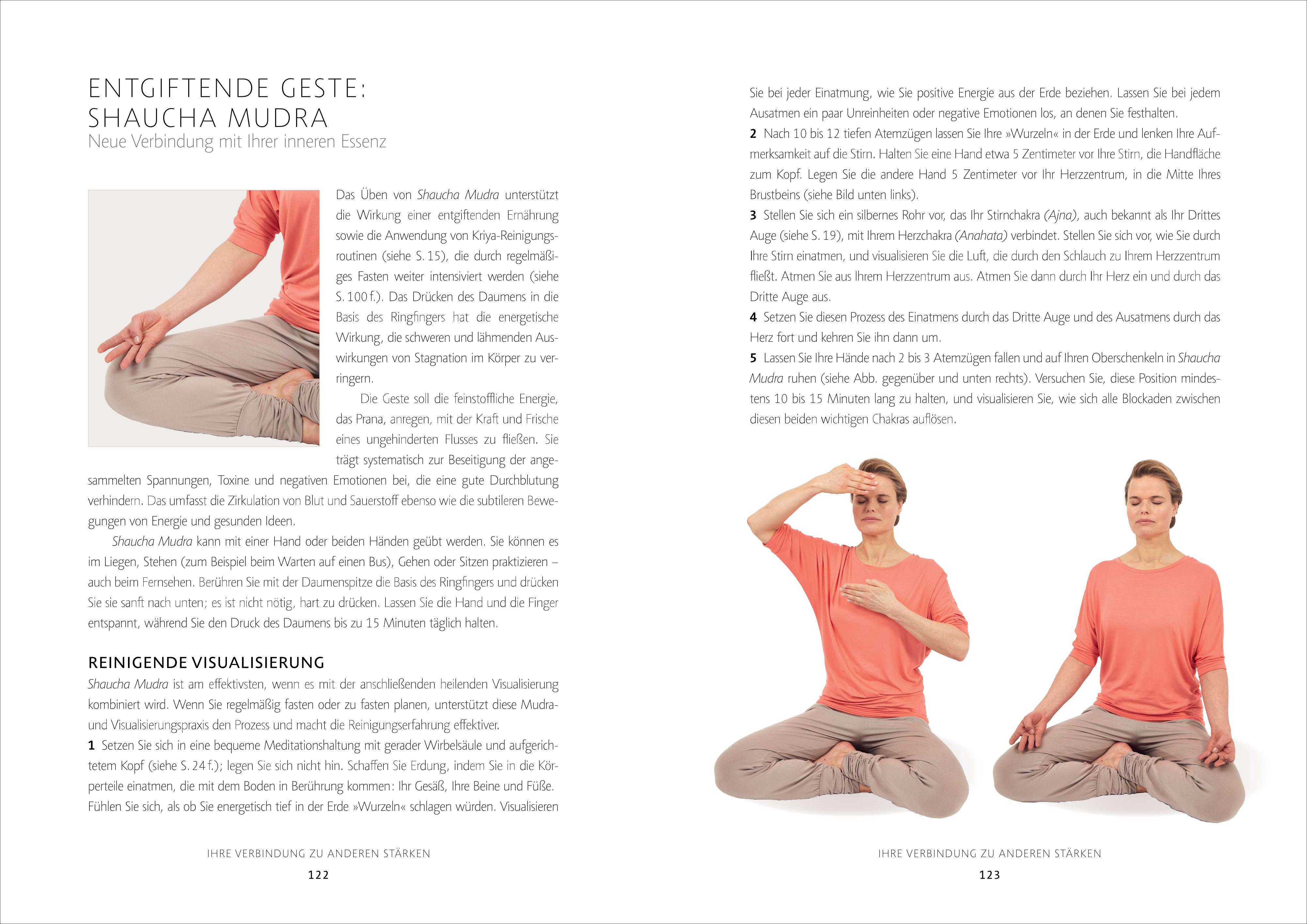 Beispielinhalt (Bild) Kriyas - Die reinigende Kraft des Yoga