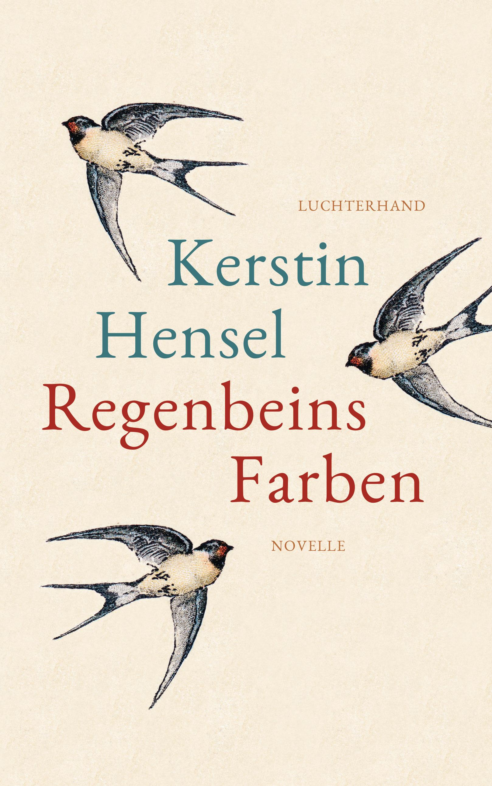 Vorderes Coverbild Regenbeins Farben