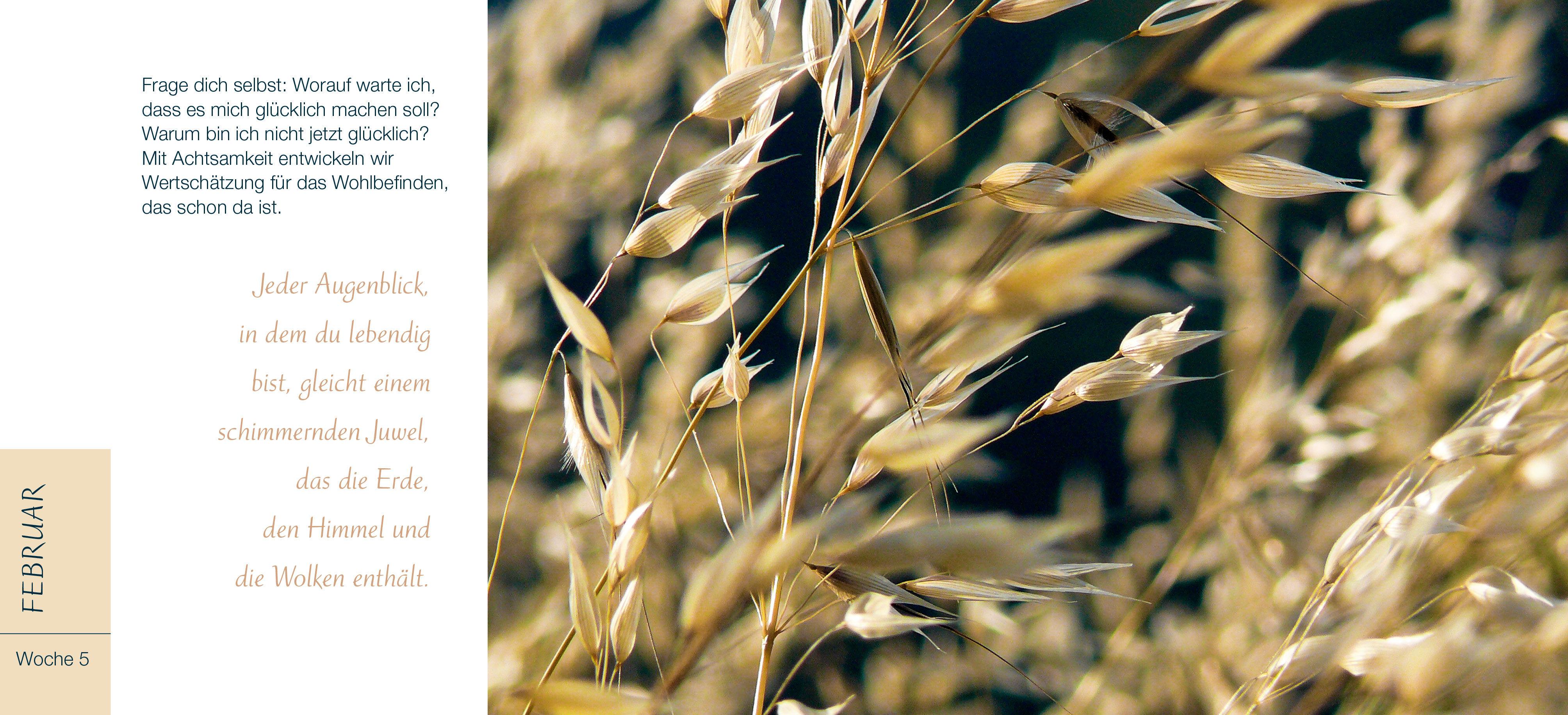 Beispielinhalt (Bild) Du bist ein Geschenk für die Welt