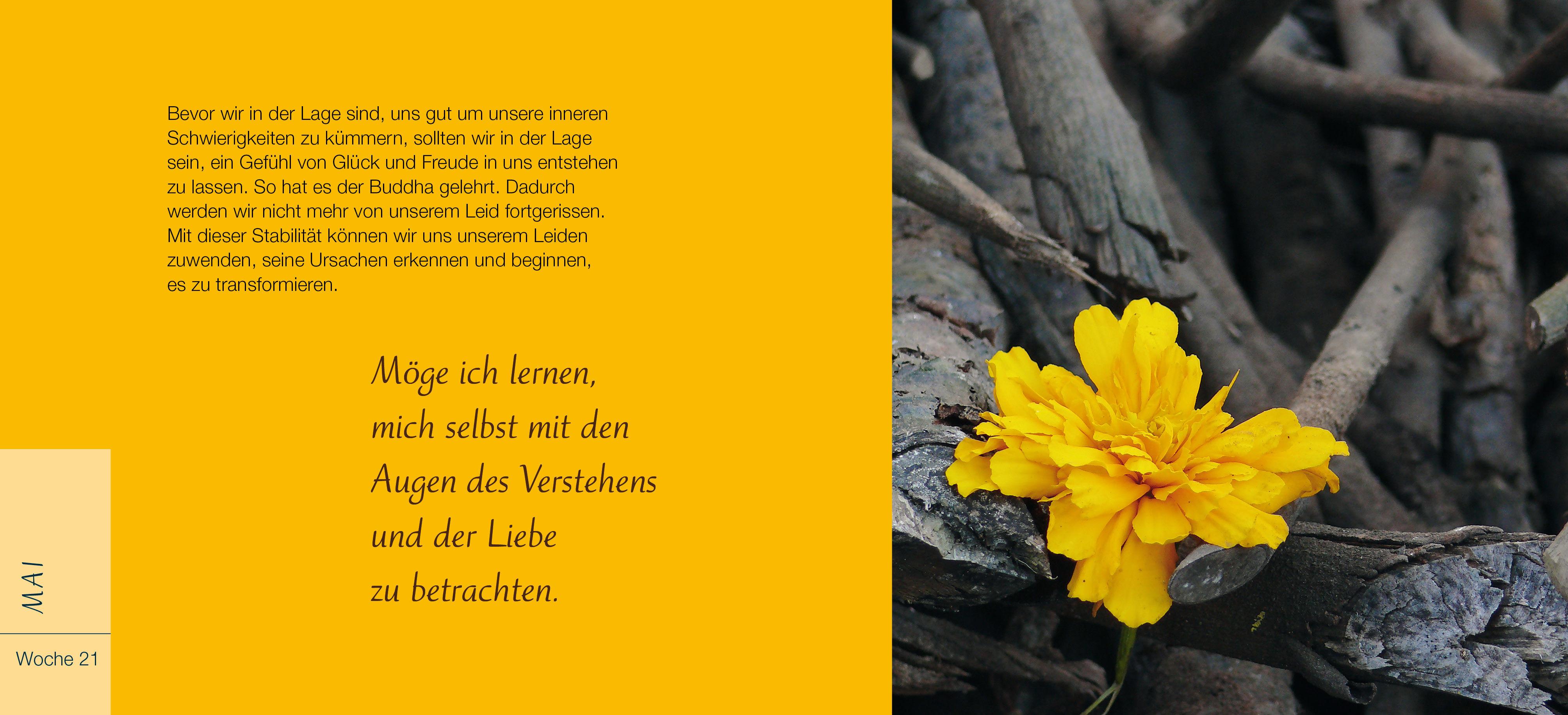 Beispielinhalt (Bild) Du bist ein Geschenk für die Welt