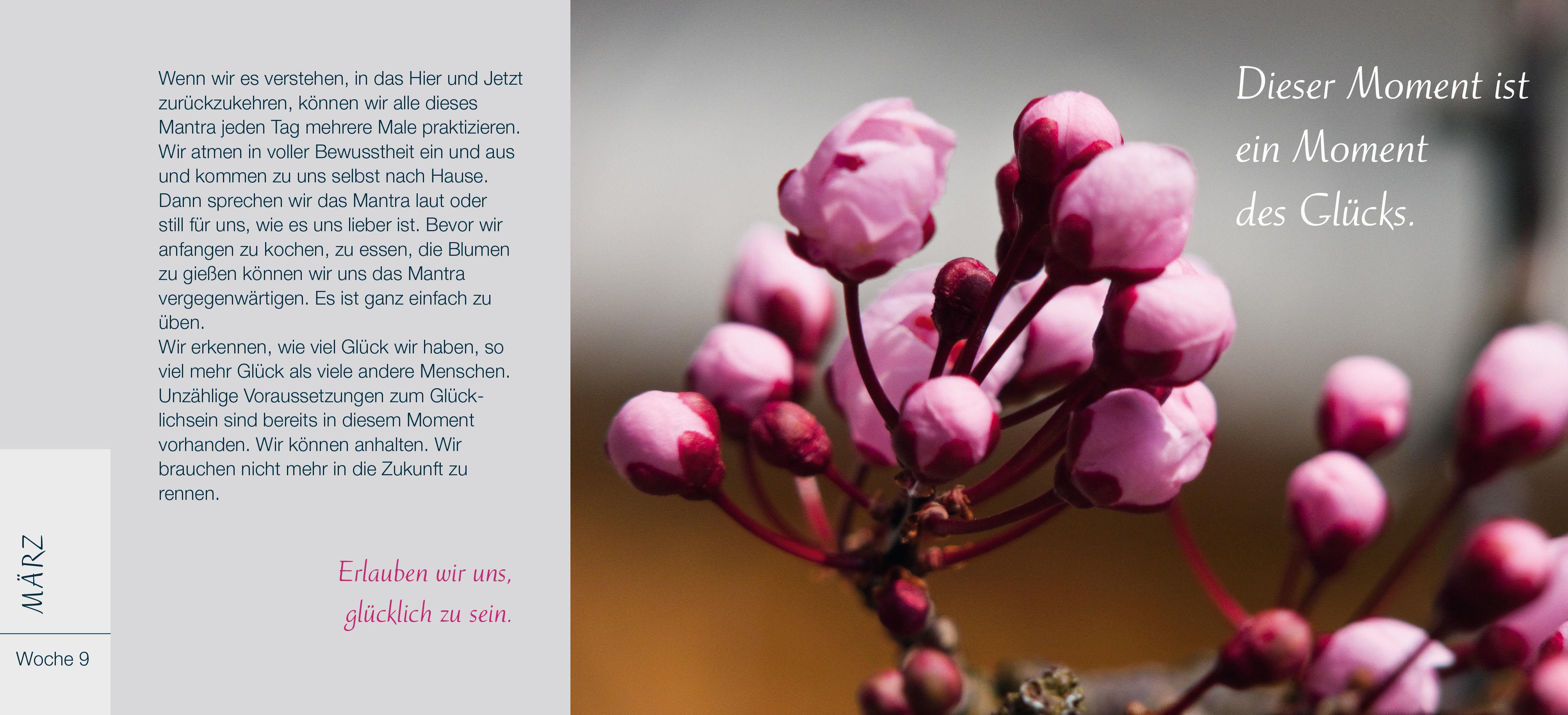 Beispielinhalt (Bild) Du bist ein Geschenk für die Welt