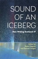 Vorderes Coverbild Sound of an Iceberg