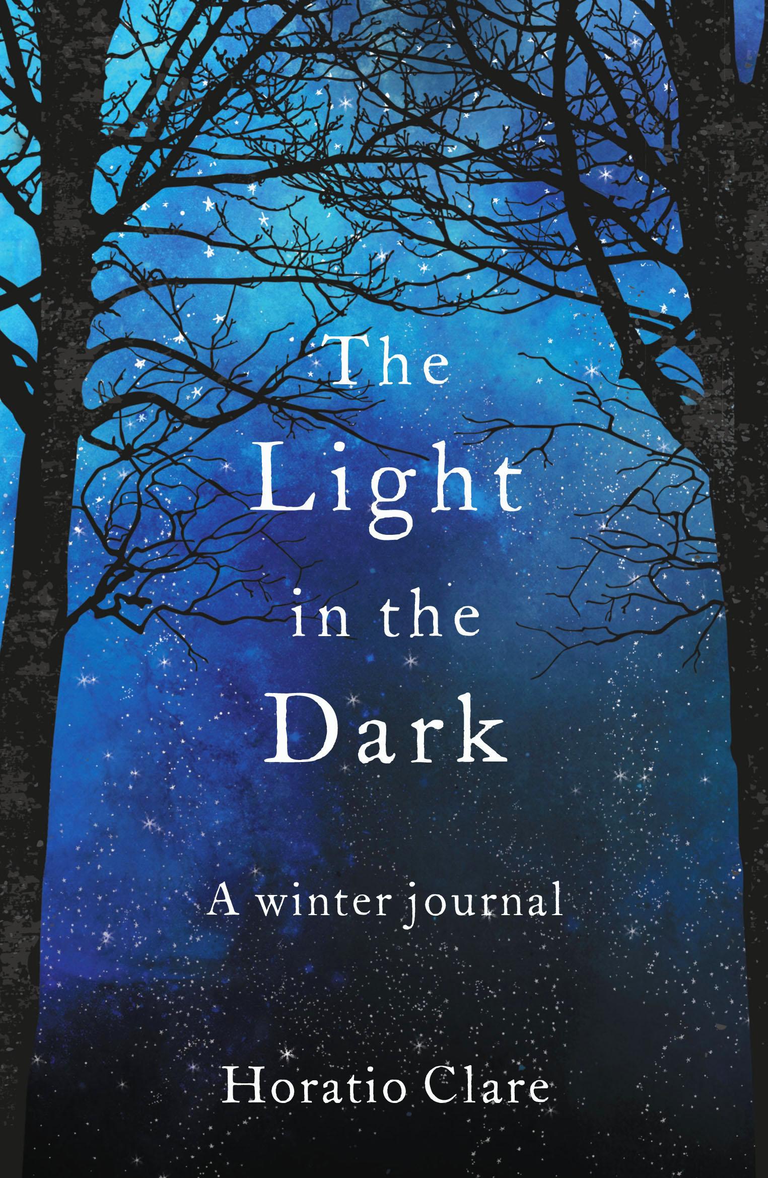 Vorderes Coverbild The Light in the Dark