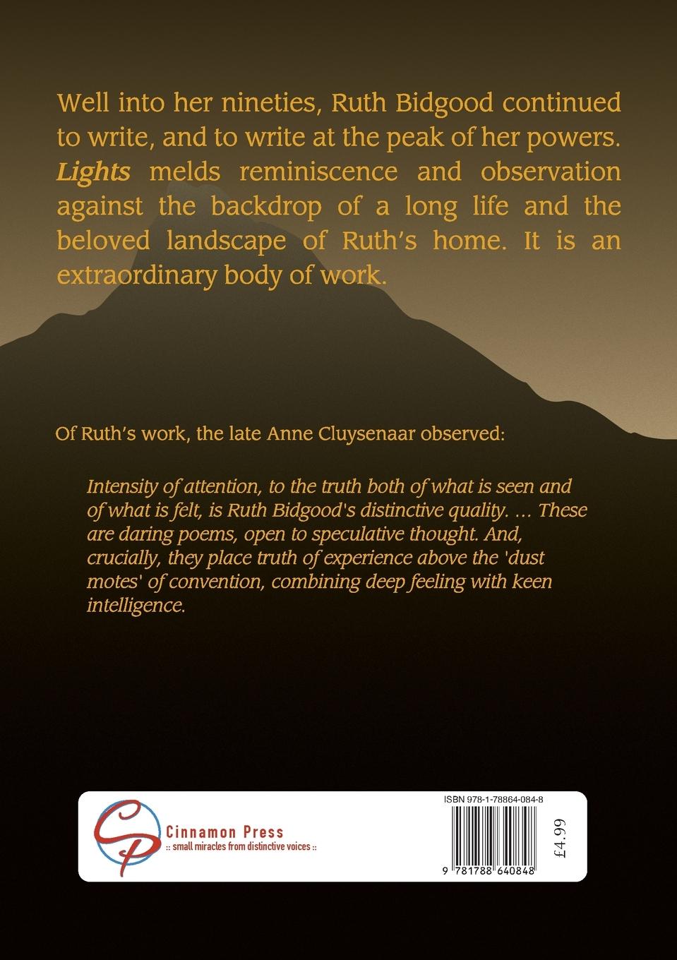 Rückseitencover Lights