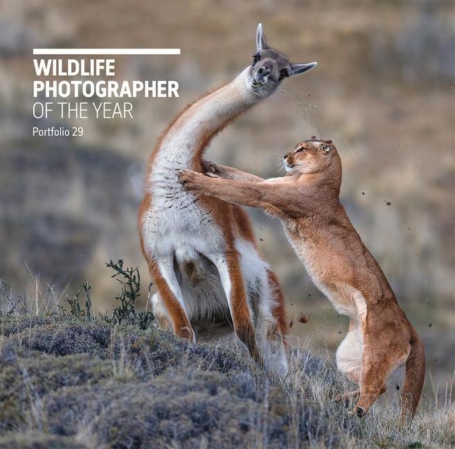 Vorderes Coverbild Wildlife Photographer of the Year: Portfolio 29