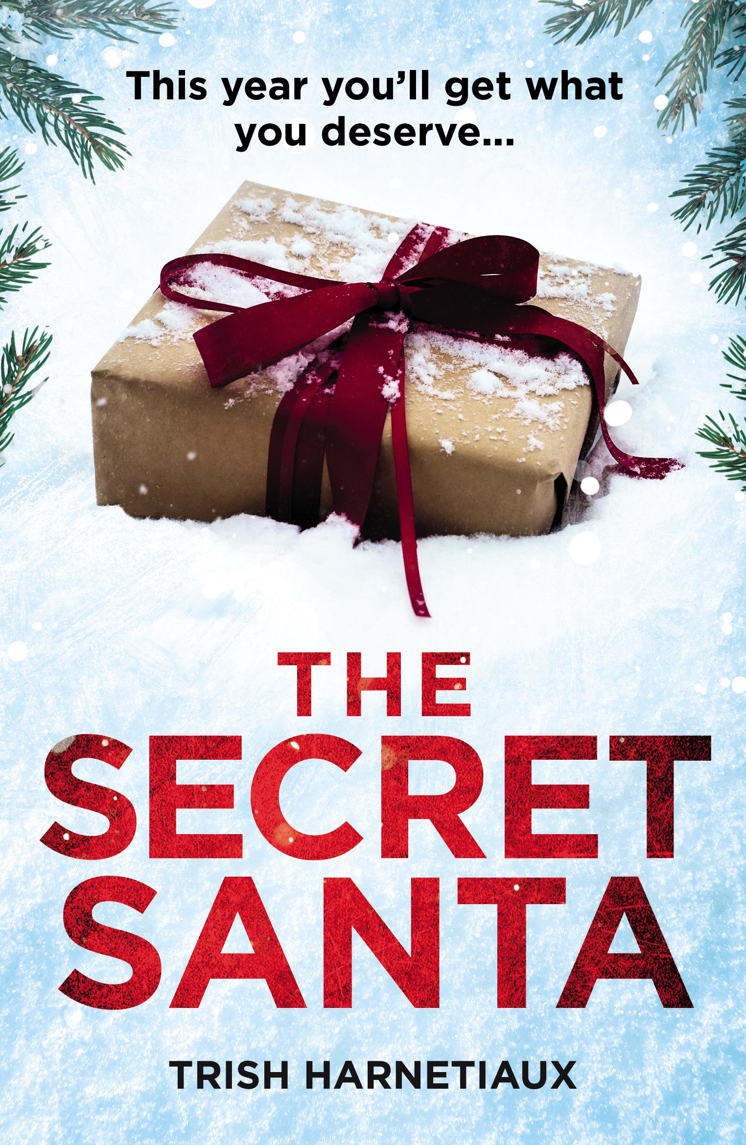 Vorderes Coverbild The Secret Santa