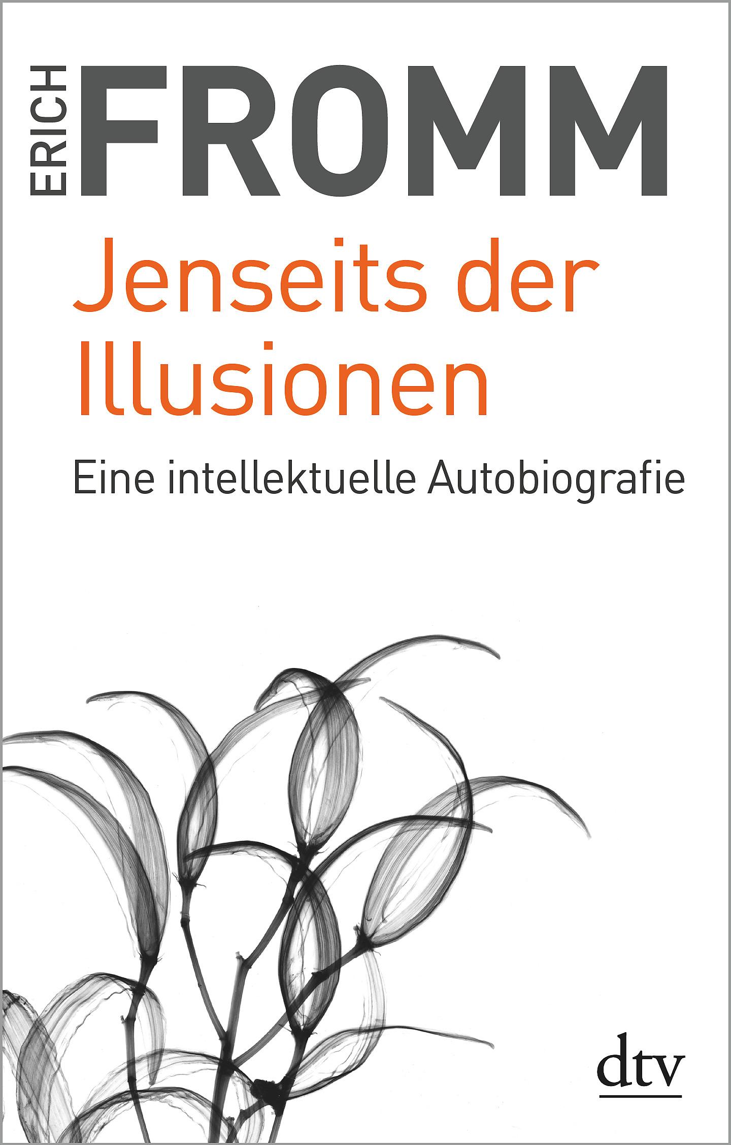 Vorderes Coverbild Jenseits der Illusionen