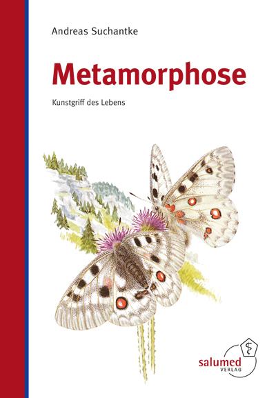 Vorderes Coverbild Metamorphose
