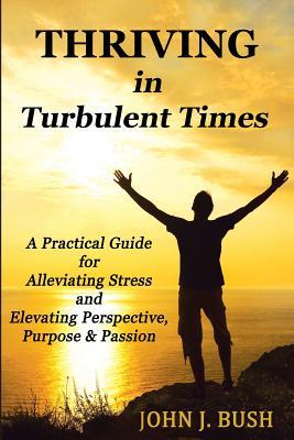 Vorderes Coverbild Thriving in Turbulent Times: A Practical Guide for Alleviating Stress and Elevating Perspective, Purpose, & Passion