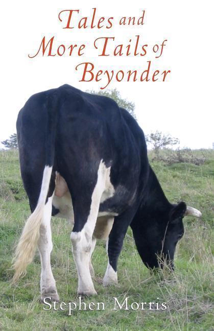 Vorderes Coverbild Tales And More Tails Of Beyonder