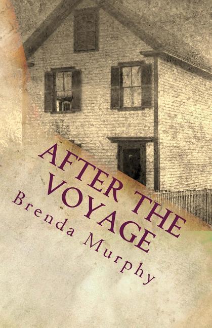 Vorderes Coverbild After the Voyage: An Irish American Story