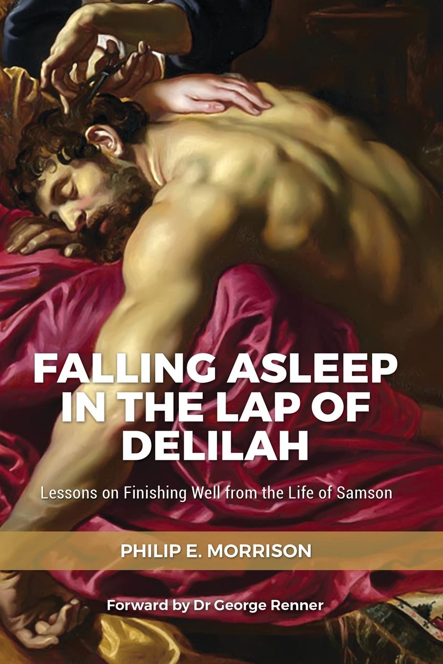 Vorderes Coverbild Falling Asleep in the Lap of Delilah