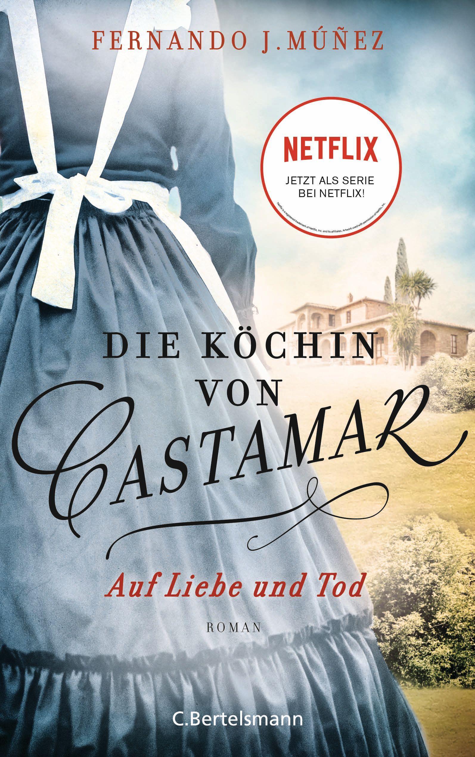 Vorderes Coverbild Die Köchin von Castamar