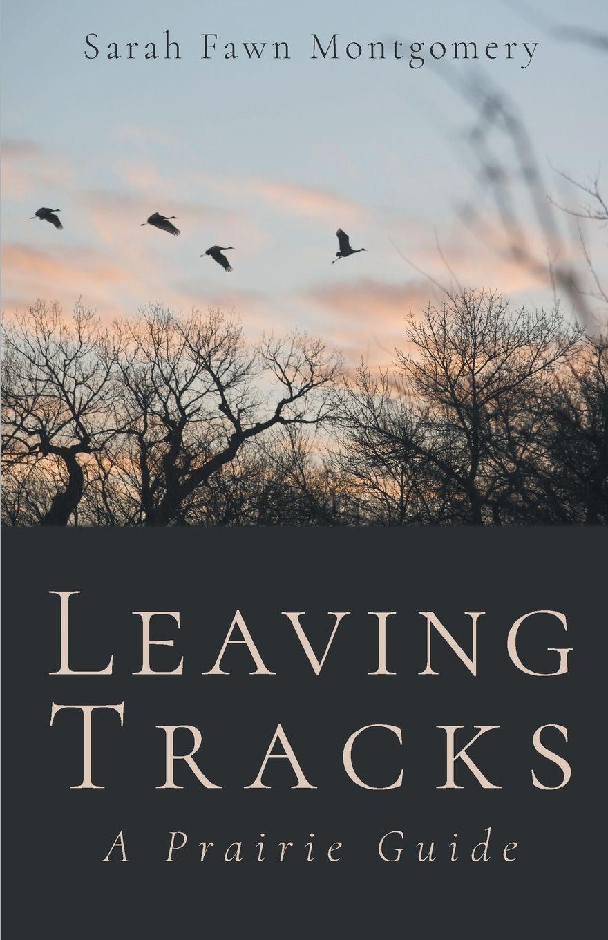Vorderes Coverbild Leaving Tracks