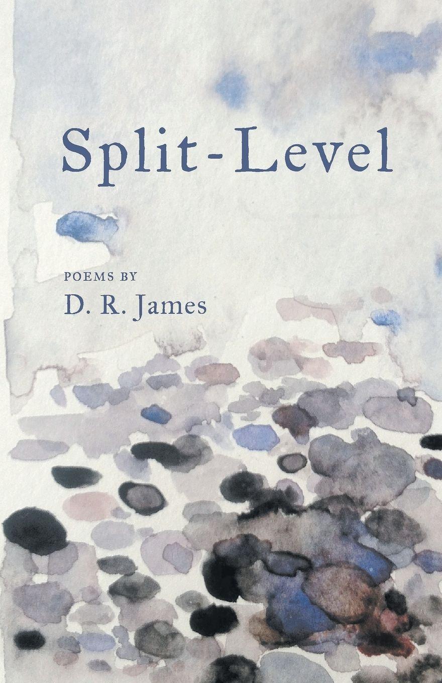 Vorderes Coverbild Split-Level