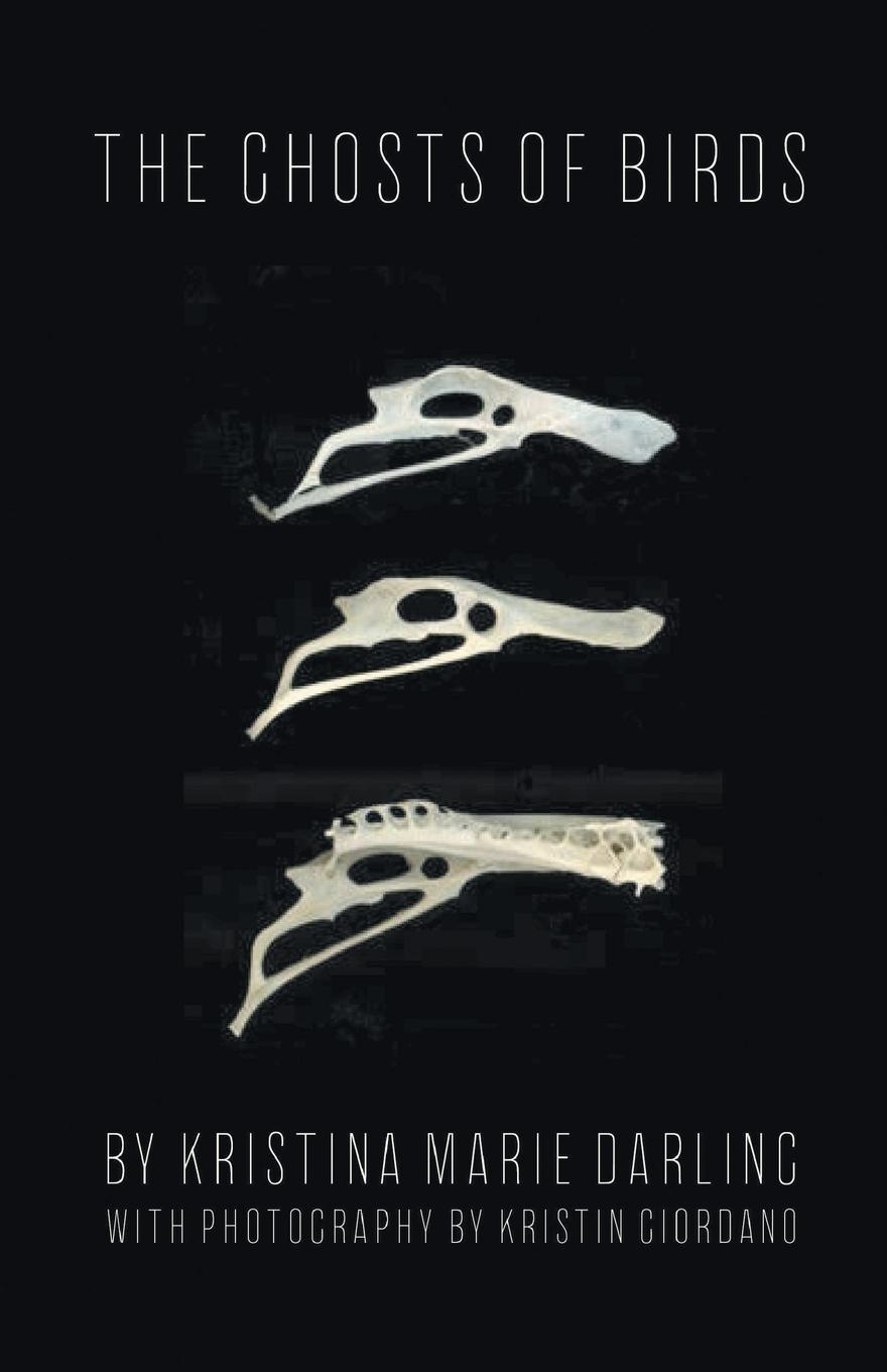 Vorderes Coverbild The Ghosts of Birds