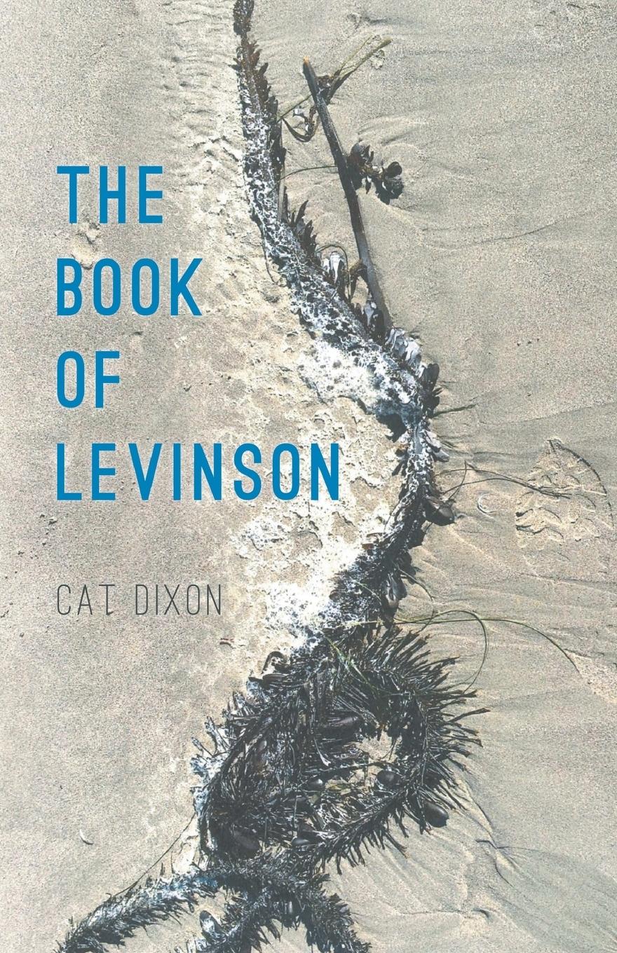 Vorderes Coverbild The Book of Levinson