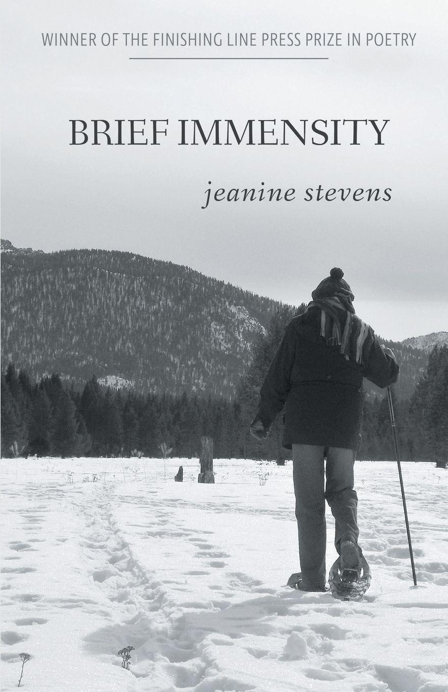 Vorderes Coverbild Brief Immensity