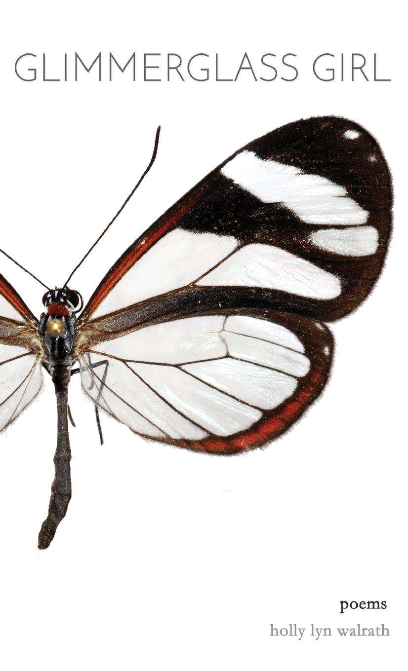 Vorderes Coverbild Glimmerglass Girl