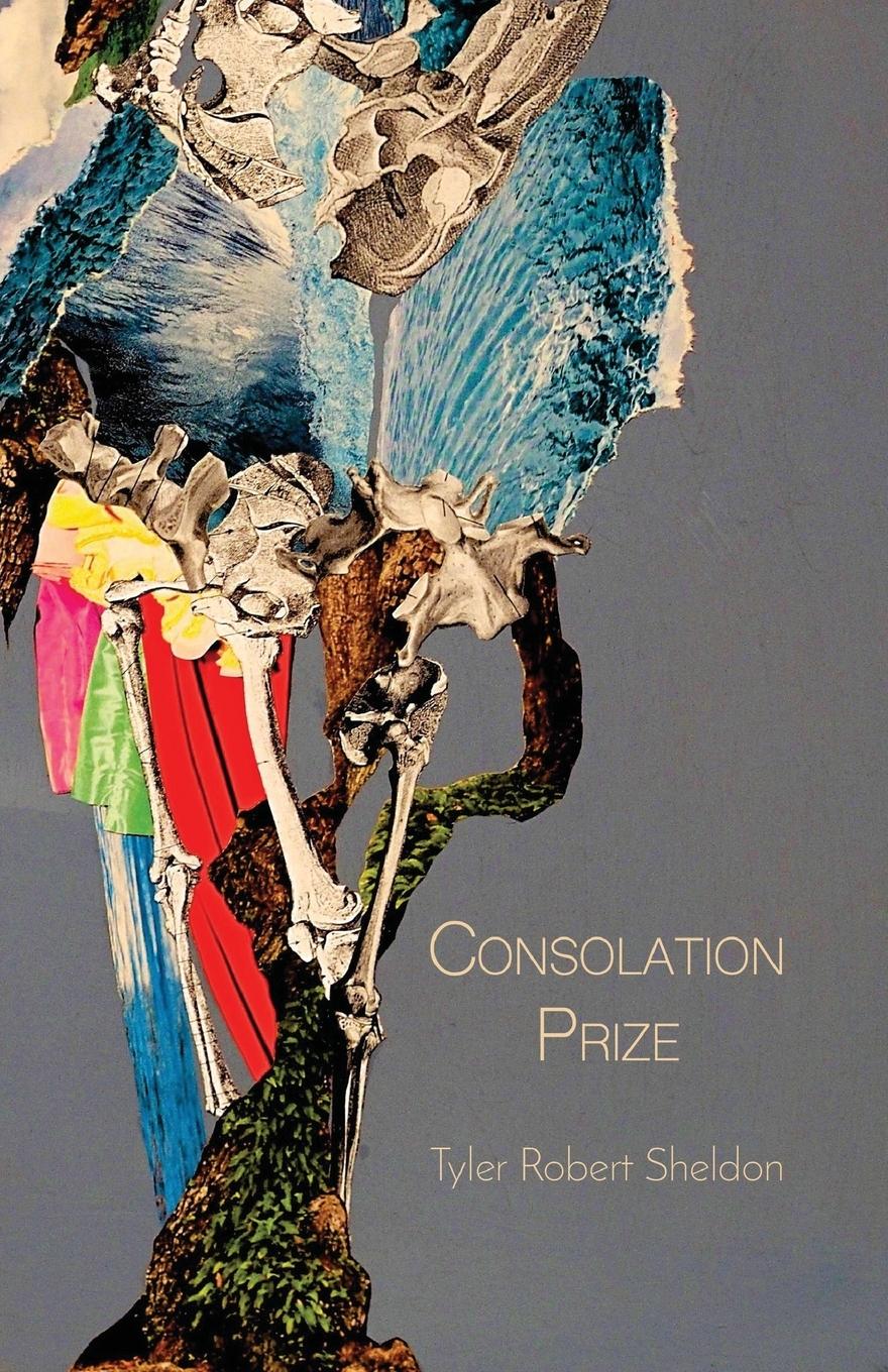 Vorderes Coverbild Consolation Prize