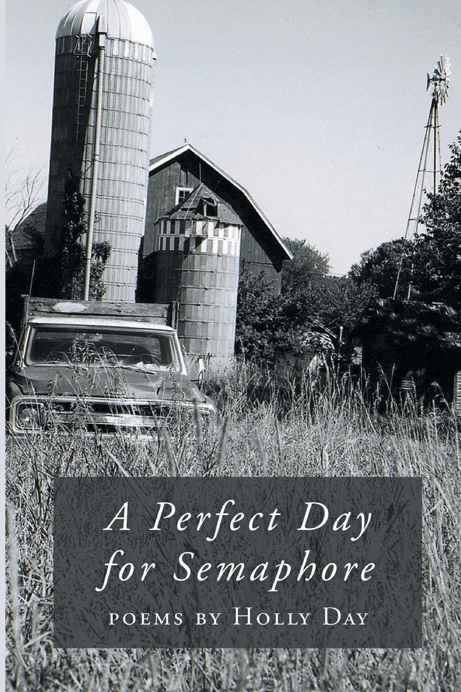 Vorderes Coverbild A Perfect Day for Semaphore
