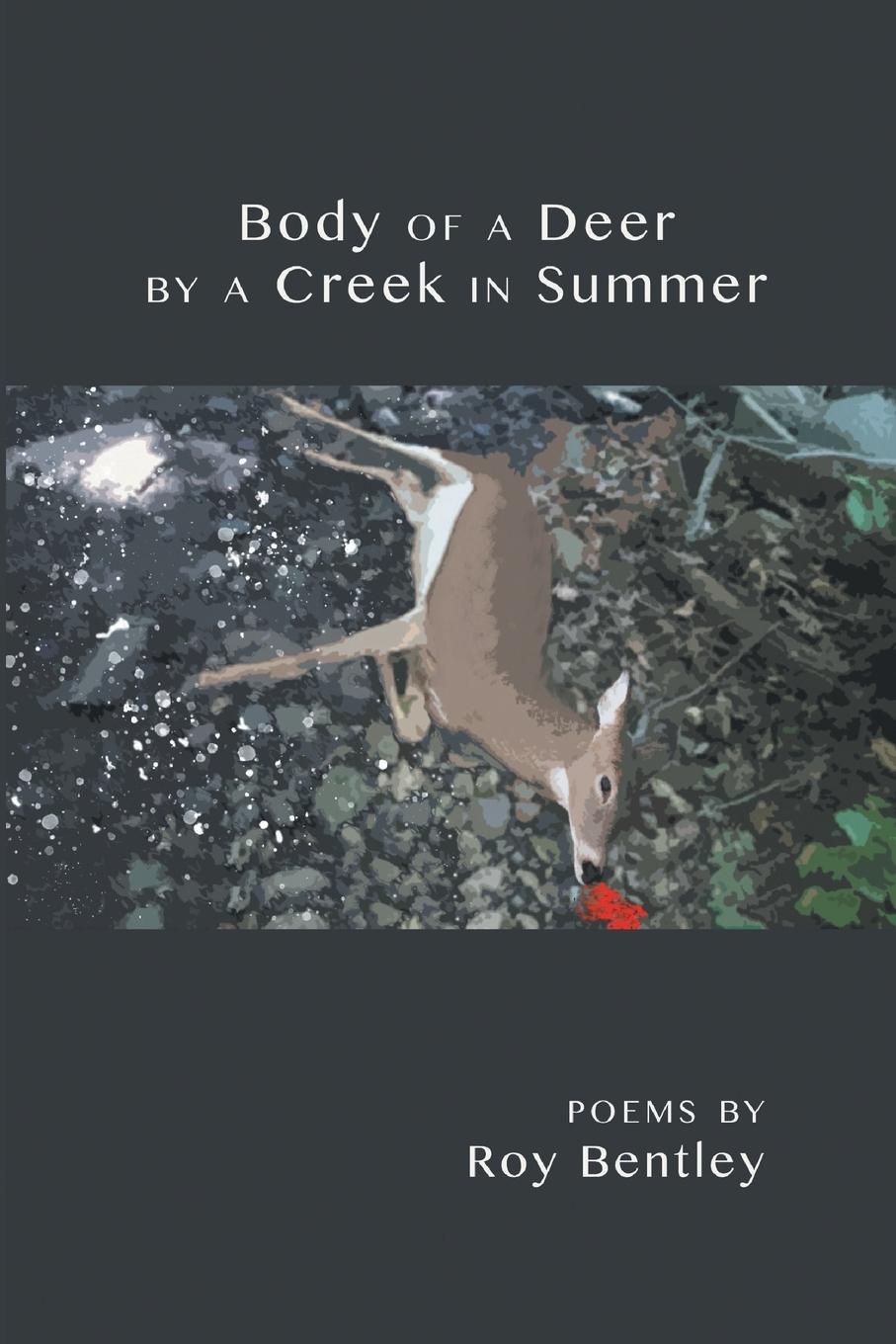 Vorderes Coverbild Body of a Deer by a Creek in Summer