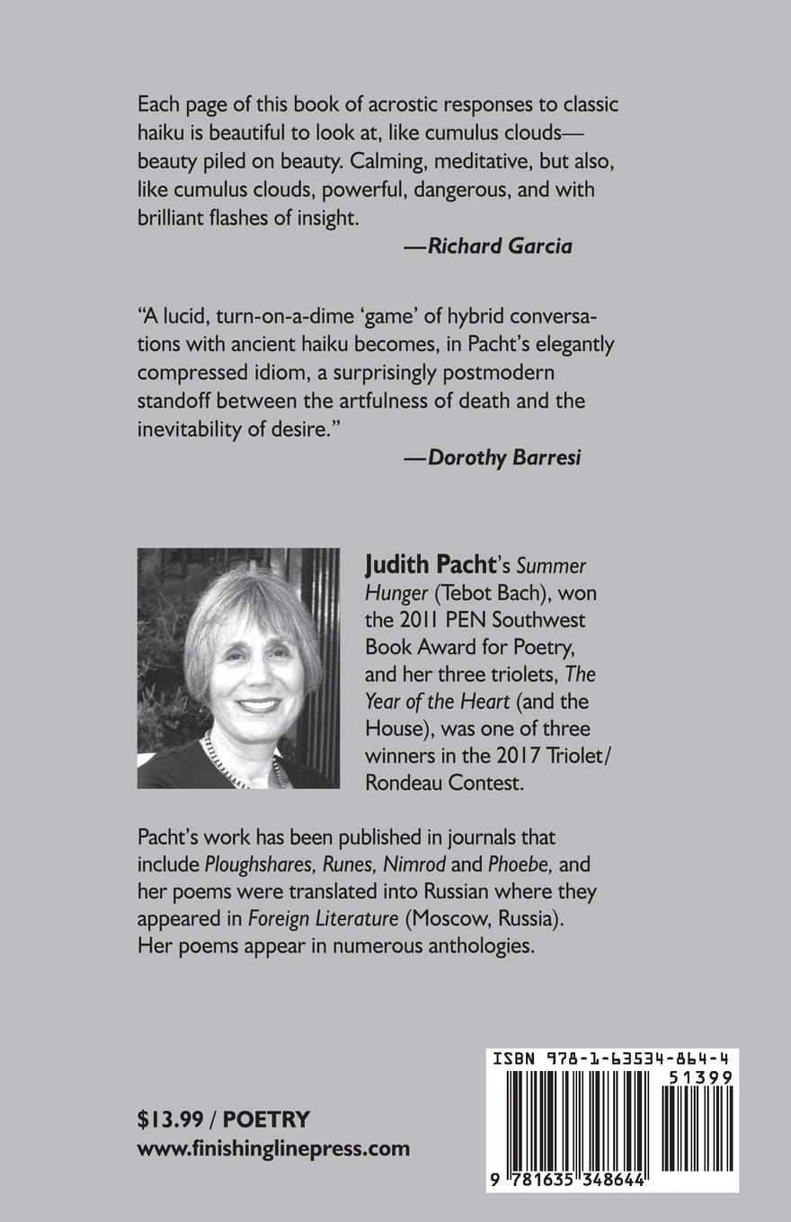 Rückseitencover A CUMULUS FICTION