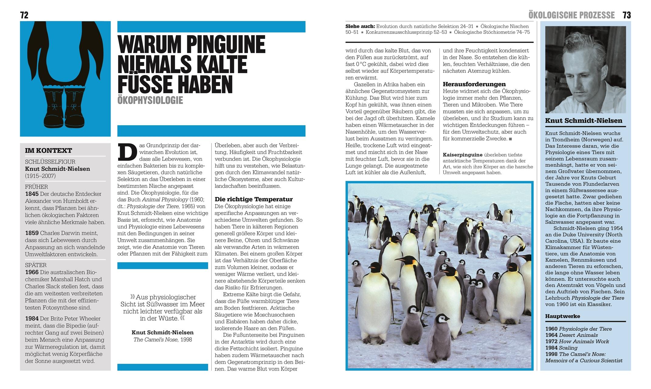 Beispielinhalt (Bild) Big Ideas. Das Ökologie-Buch