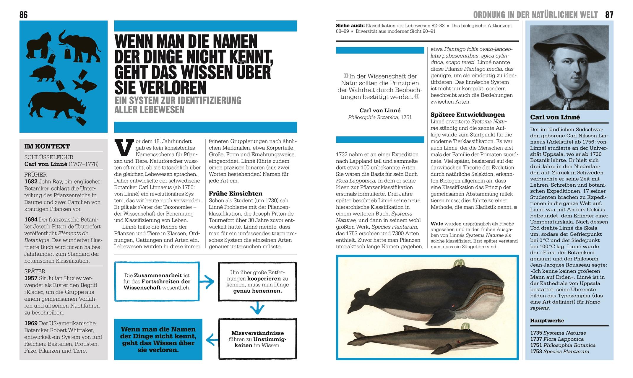 Beispielinhalt (Bild) Big Ideas. Das Ökologie-Buch
