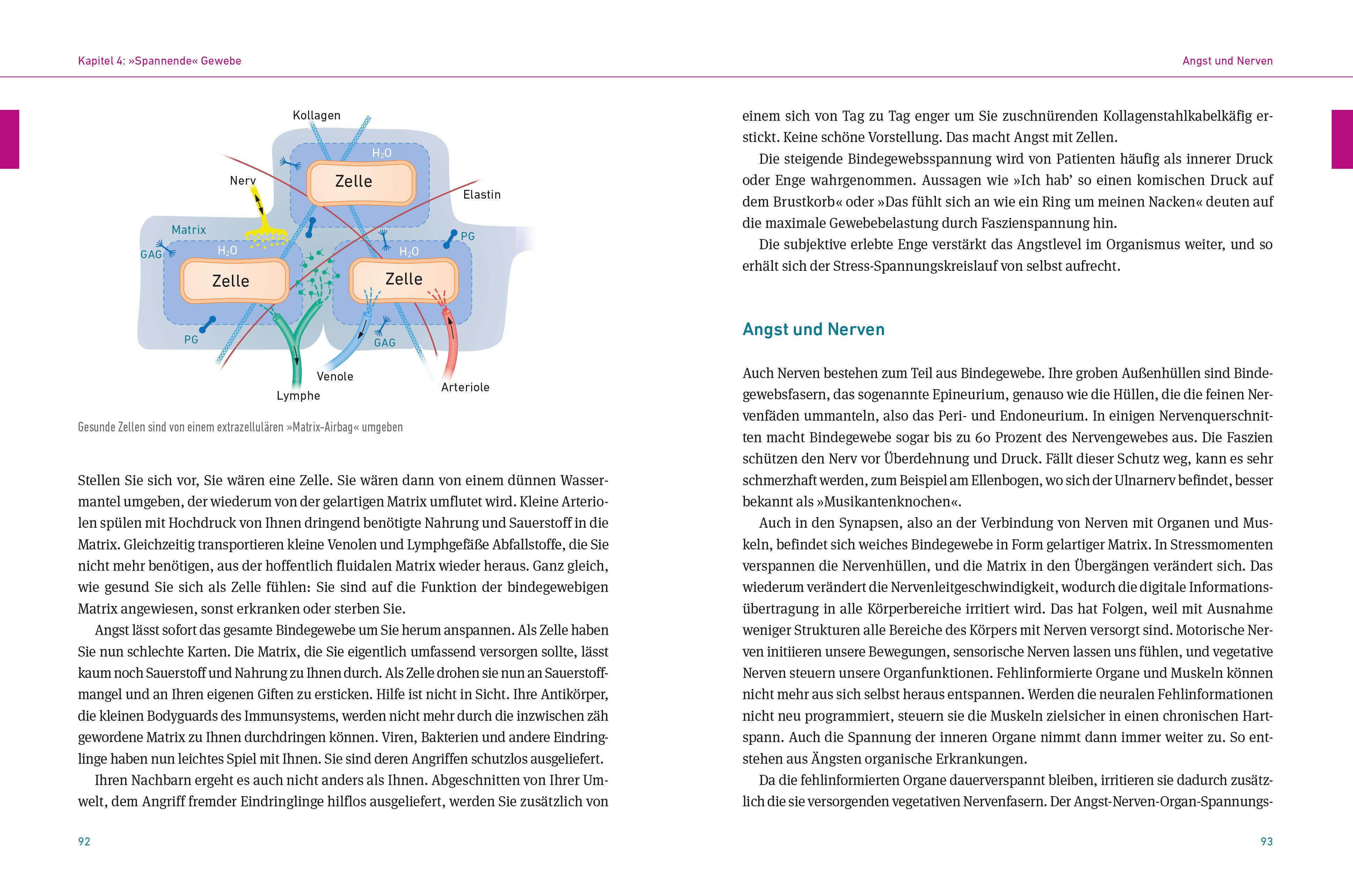 Beispielinhalt (Bild) Körperspuren