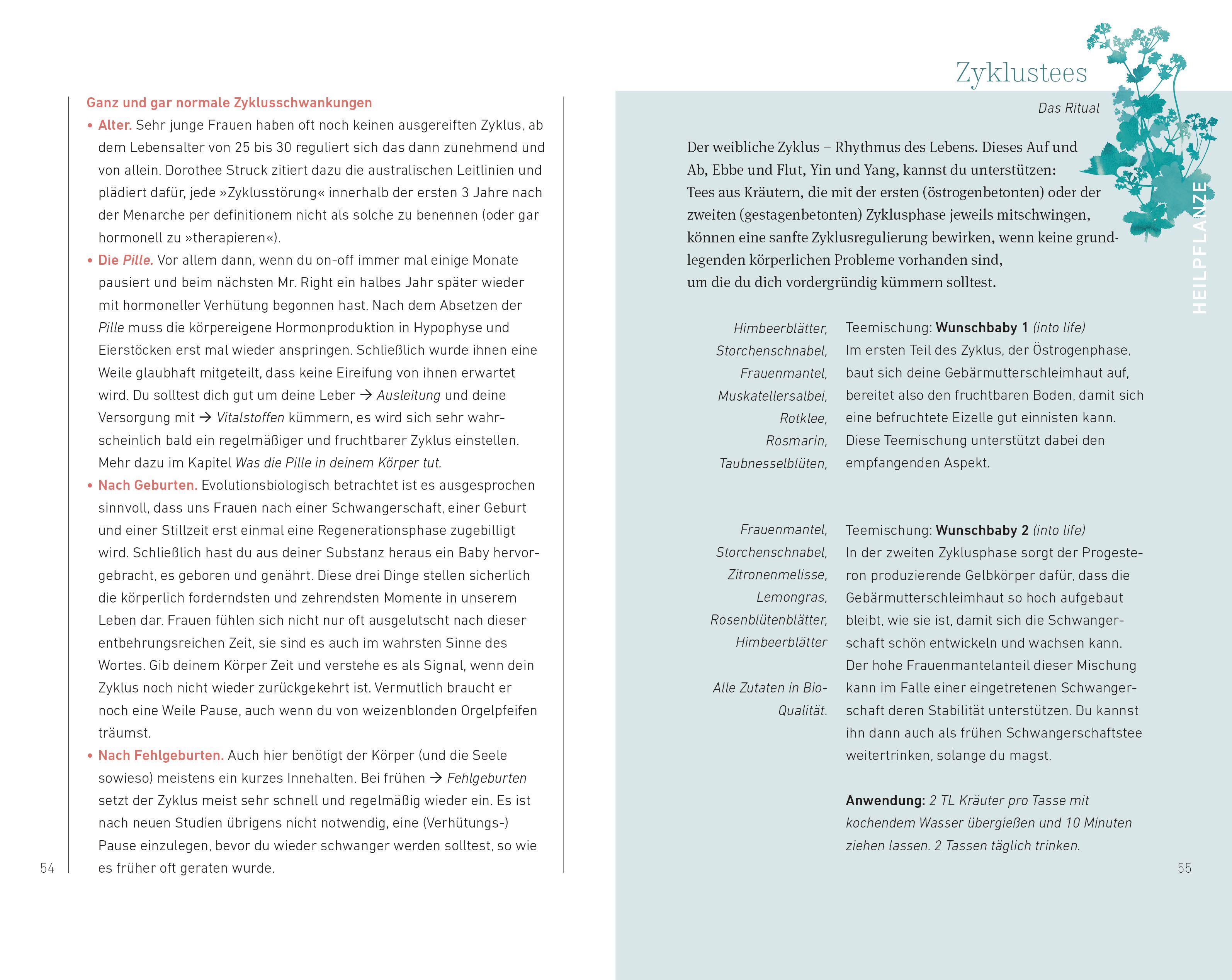 Beispielinhalt (Bild) Schwanger werden