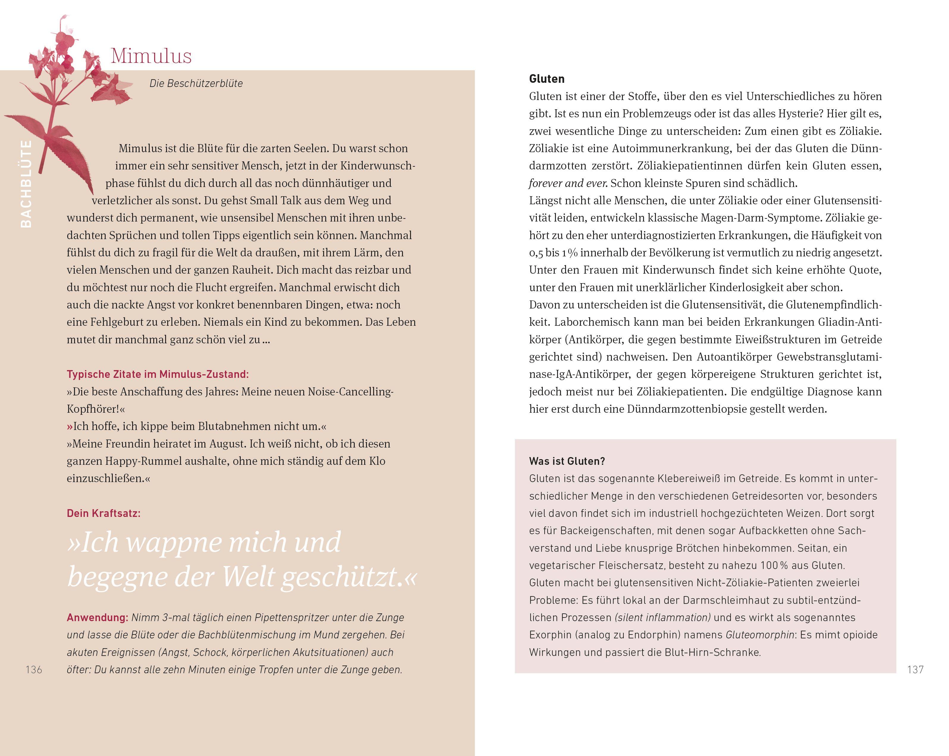 Beispielinhalt (Bild) Schwanger werden