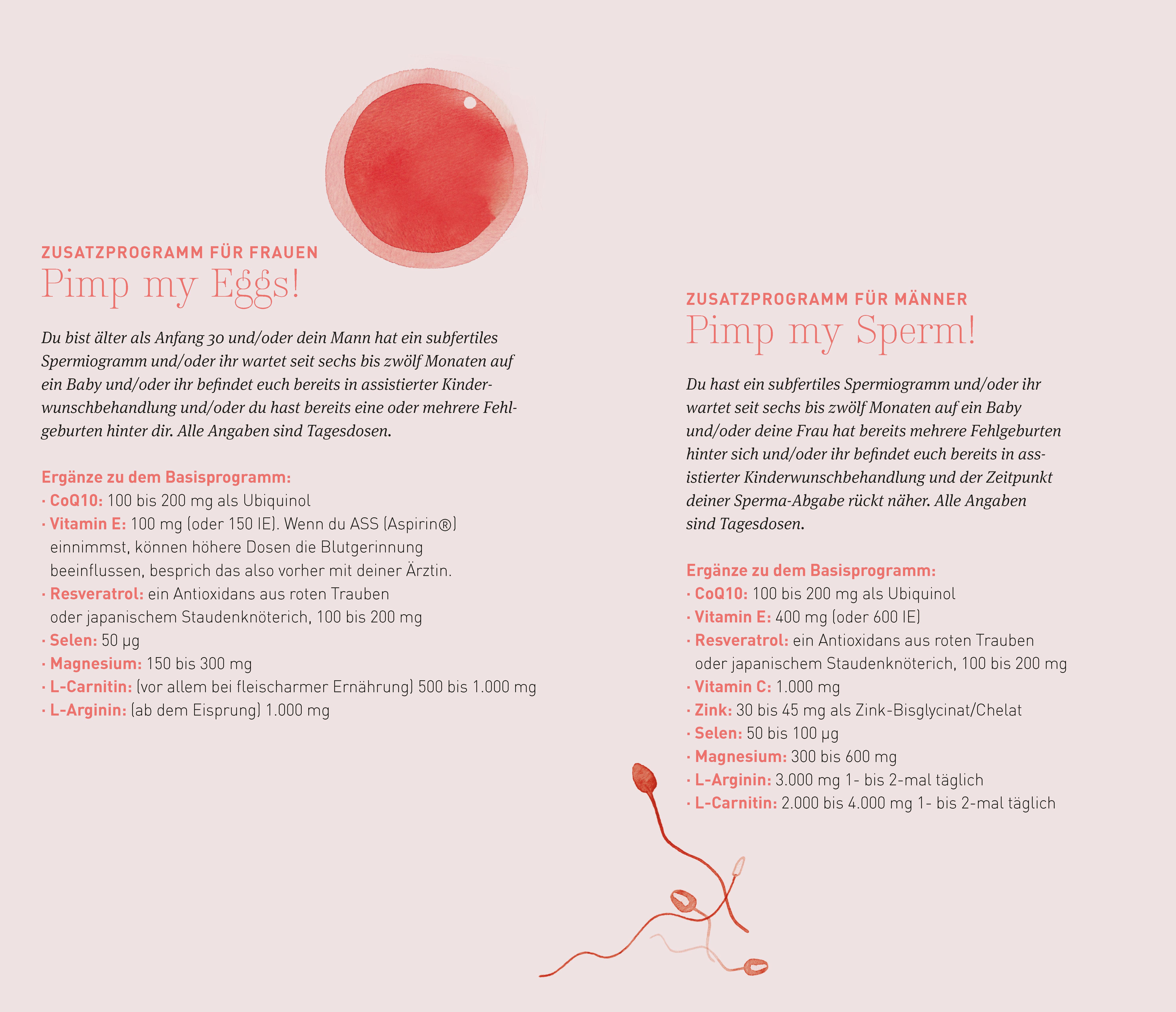 Beispielinhalt (Bild) Schwanger werden