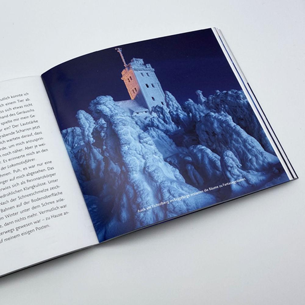 Beispielinhalt (Bild) Nachts im Wald