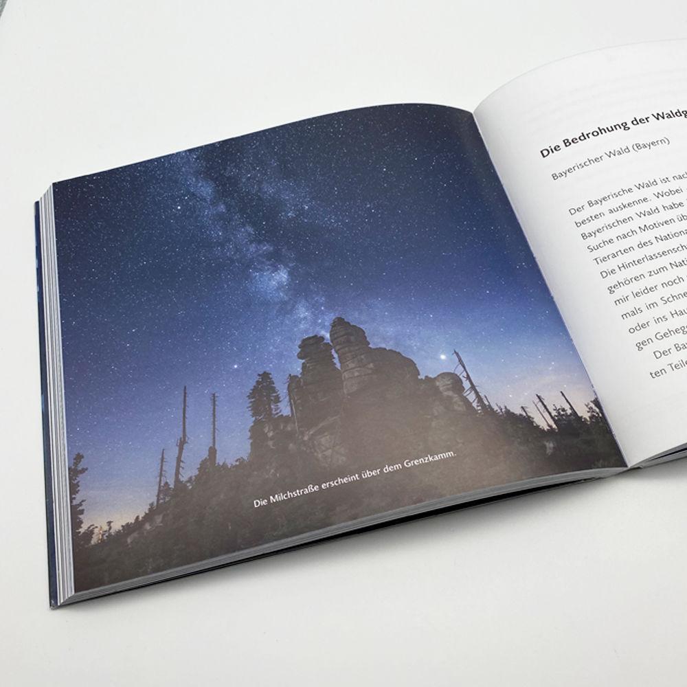 Beispielinhalt (Bild) Nachts im Wald