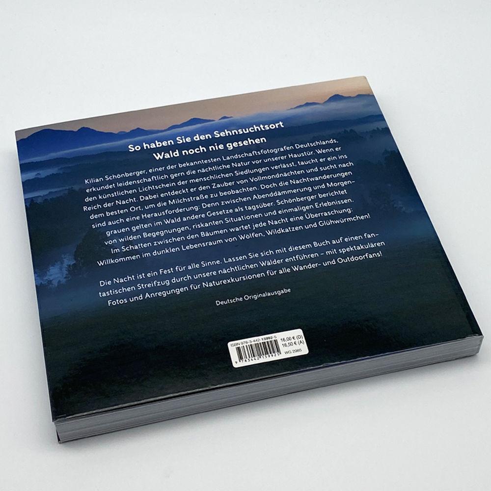 Beispielinhalt (Bild) Nachts im Wald