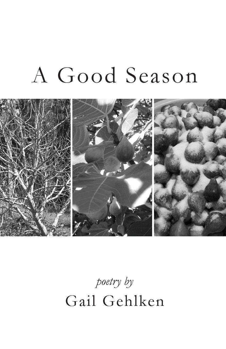 Vorderes Coverbild A Good Season